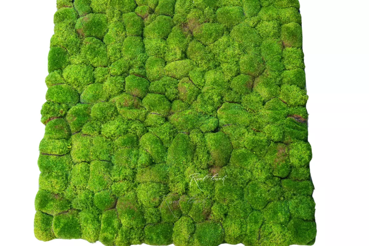 Коврик мха с кочками 100*100см (вид 2) - Зеленый