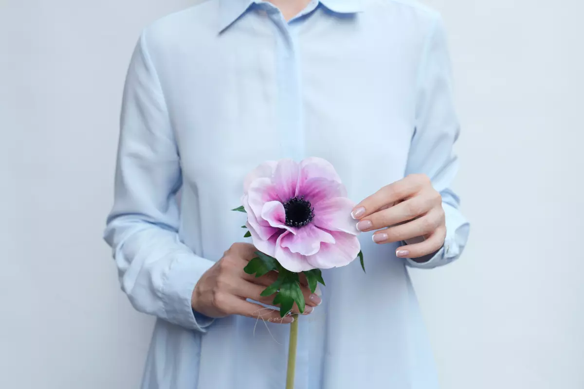 Анемона Де Каен - Бело-розовый